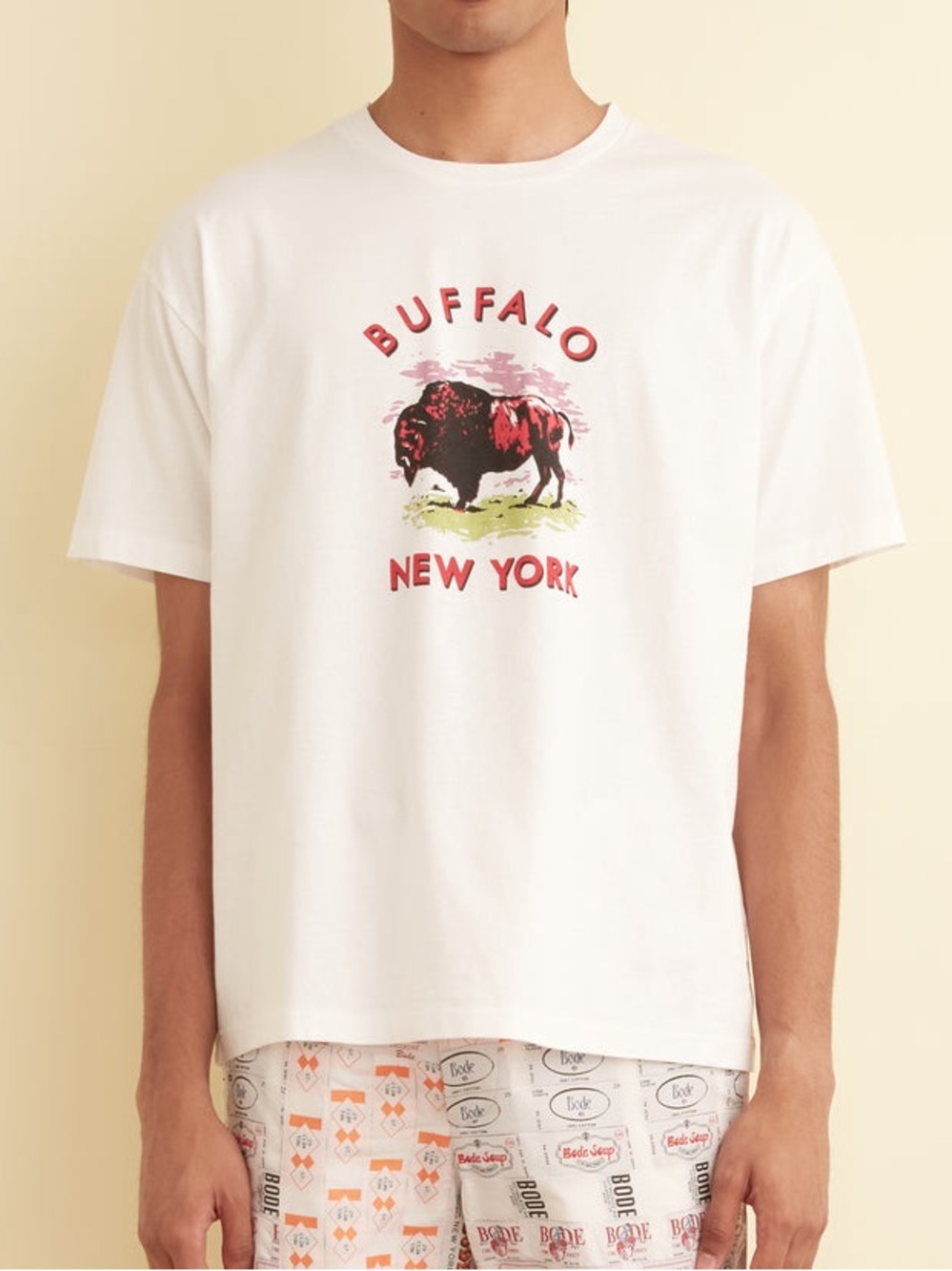 Buffalo New York Re/Done Tee